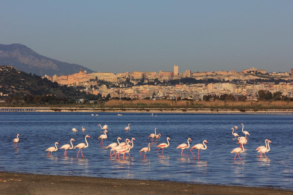 Dante Alighieri Guest House Cagliari Kültér fotó